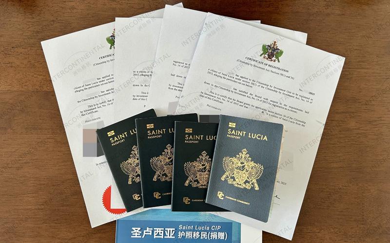 圣盧西亞護照H總